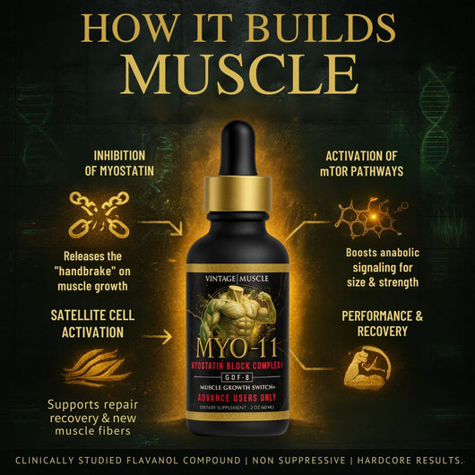 Vintage Muscle MYO-11 supplement bottle with text on muscle building benefits on a dark background